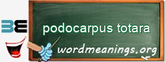 WordMeaning blackboard for podocarpus totara